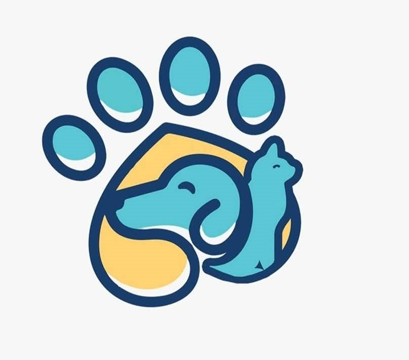 Client 6